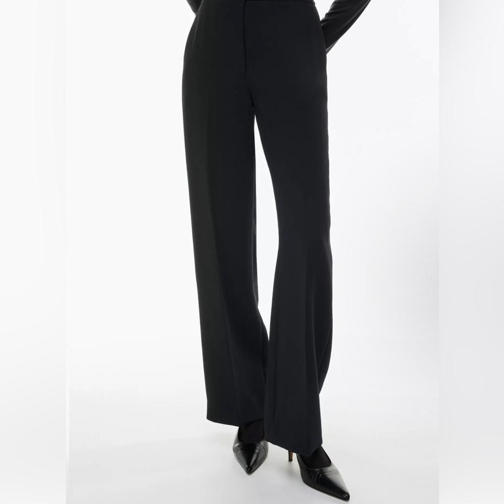 Aritzia (Wilfred) Crepe Darontal Pant
